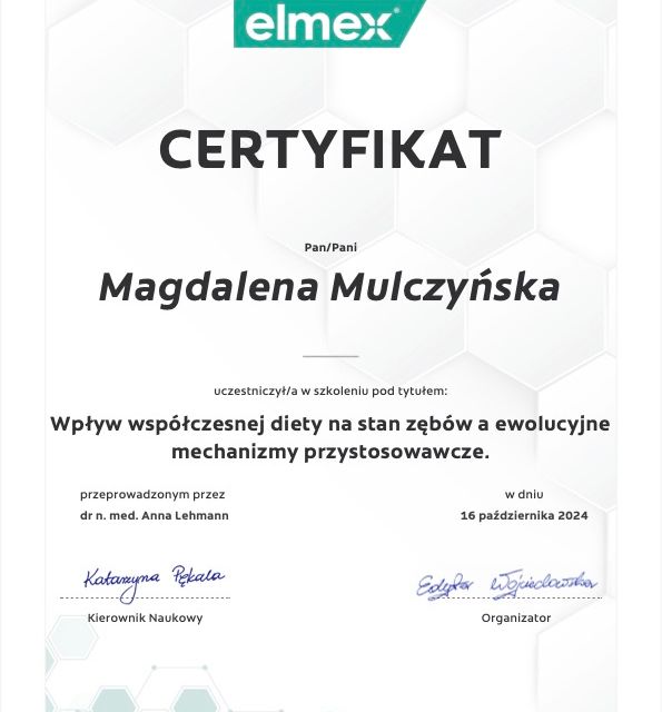 Powiększ obraz: certificate 1