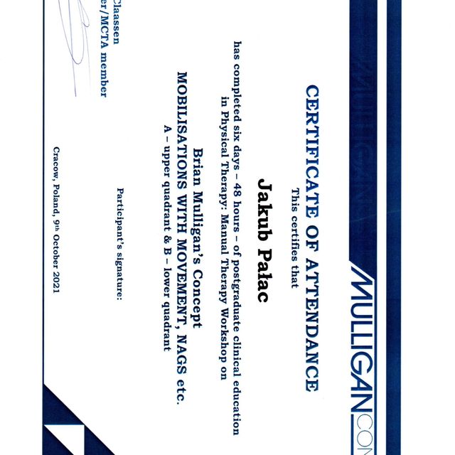 Powiększ obraz: certificate 7