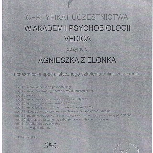 Powiększ obraz: certificate 3