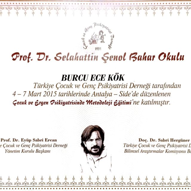 Resmi büyüt: certificate 1