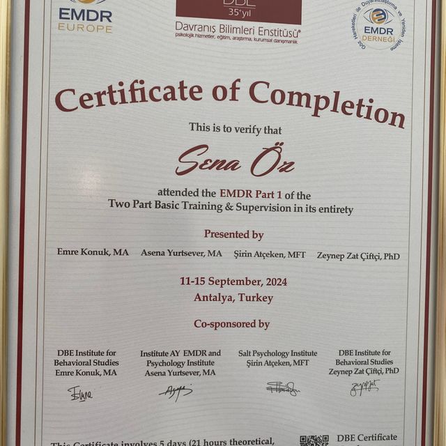 Resmi büyüt: certificate 1