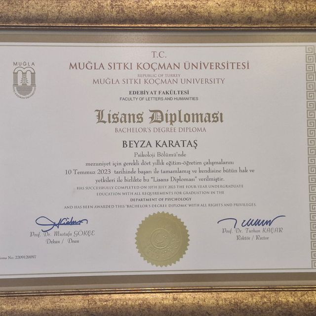 Resmi büyüt: certificate 3