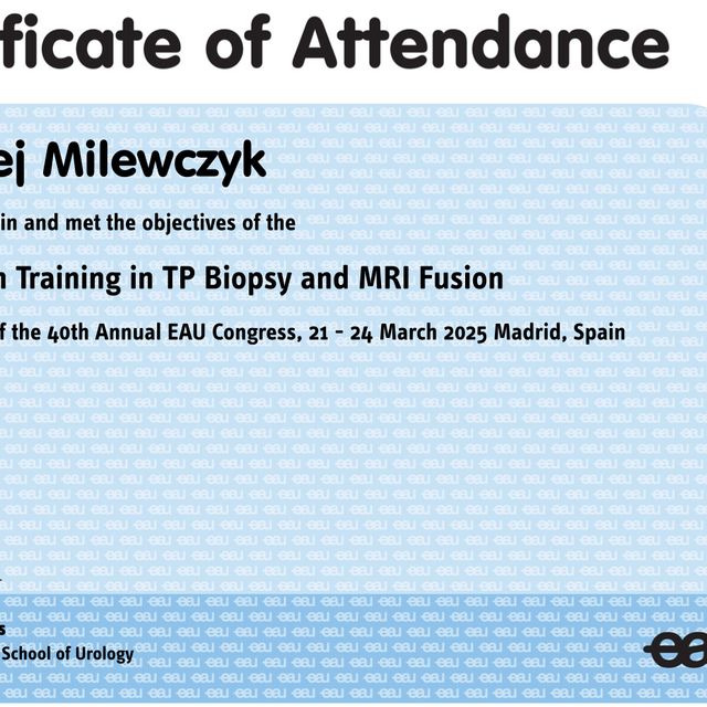 Powiększ obraz: certificate 13