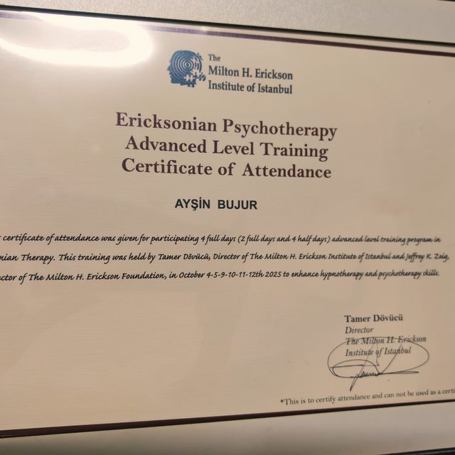 Resmi büyüt: certificate 2