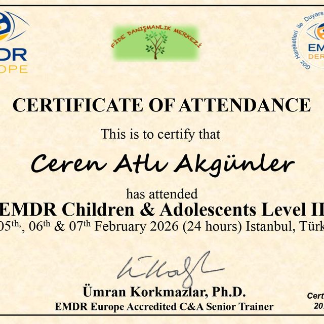 Resmi büyüt: certificate 6