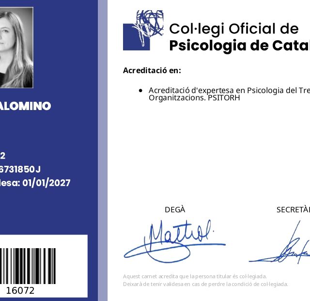Acercar imagen: certificate 4