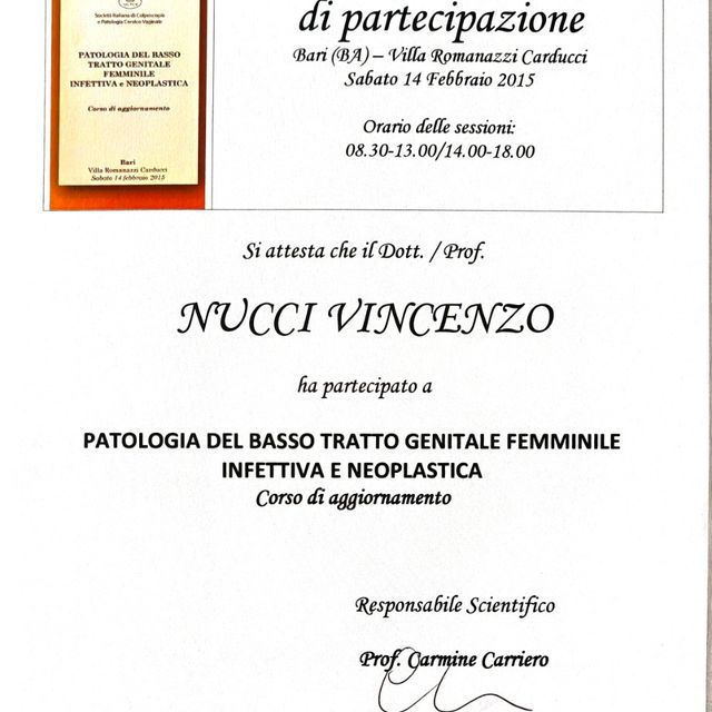 Ingrandire l'immagine: certificate 92