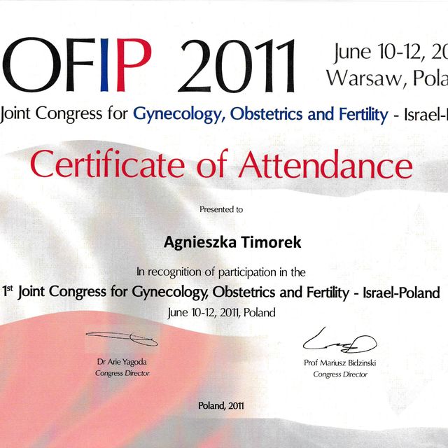 Powiększ obraz: certificate 16