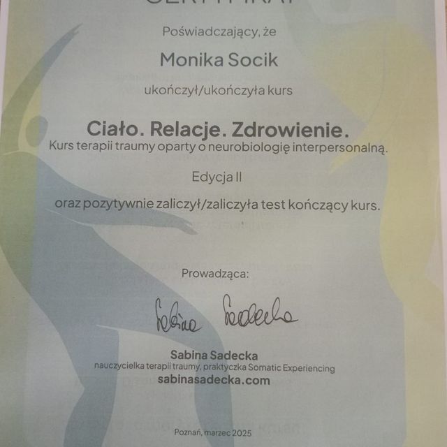 Powiększ obraz: certificate 7