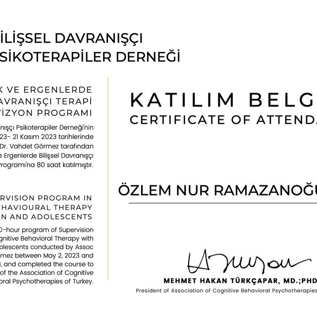 Resmi büyüt: certificate 2
