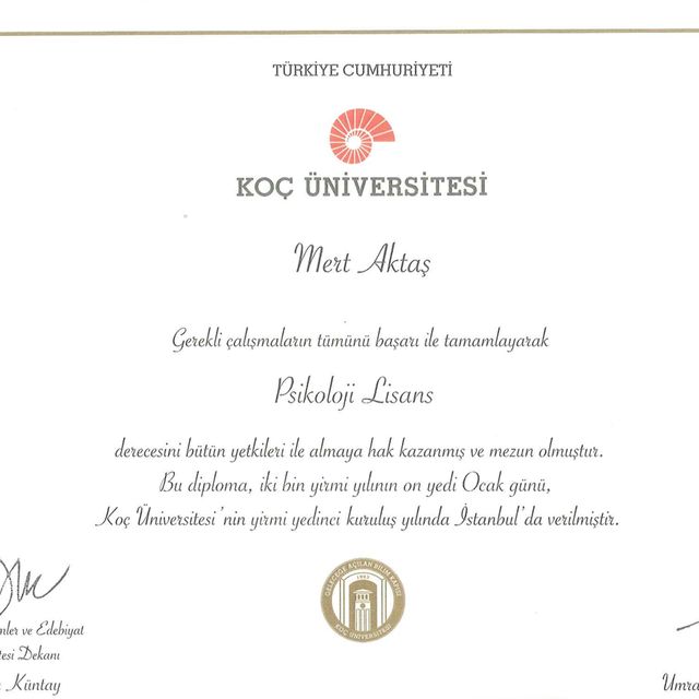 Resmi büyüt: certificate 9