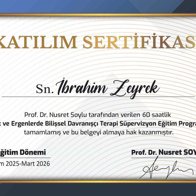 Resmi büyüt: certificate 2