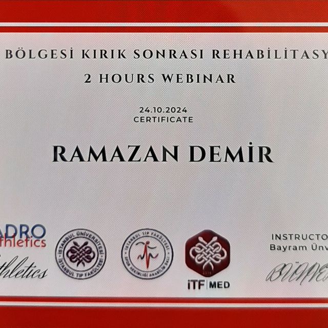 Resmi büyüt: certificate 33