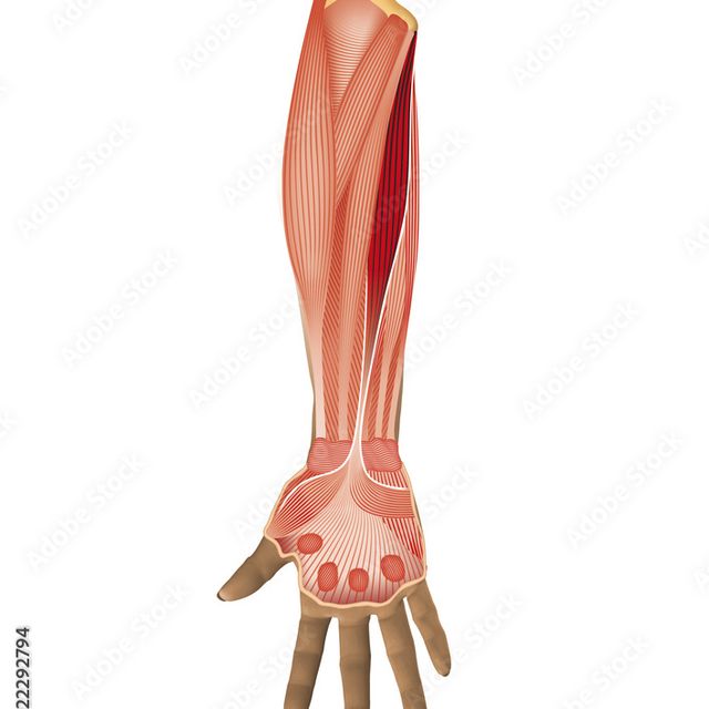 Acercar imagen: certificate 1