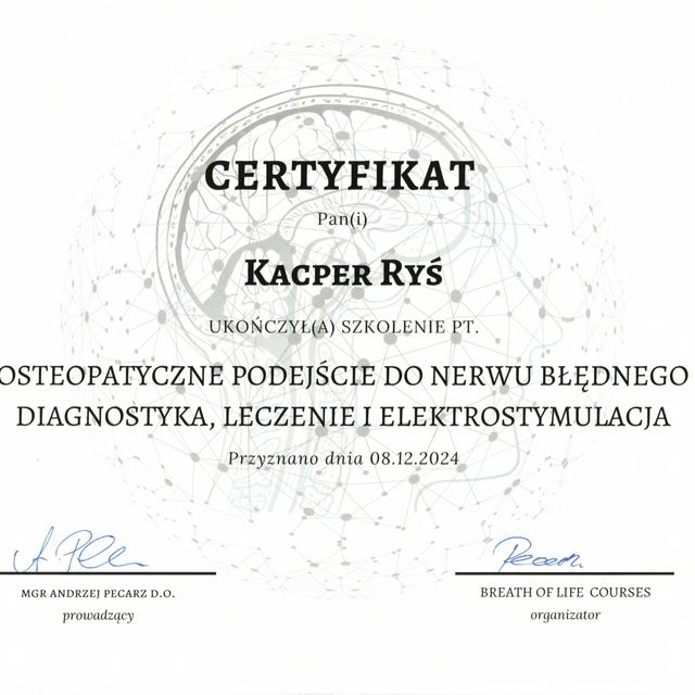 Powiększ obraz: certificate 2