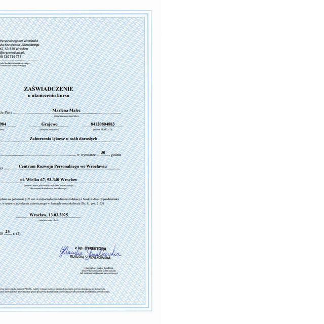 Powiększ obraz: certificate 4