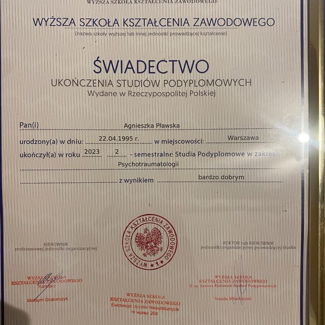 Powiększ obraz: certificate 1