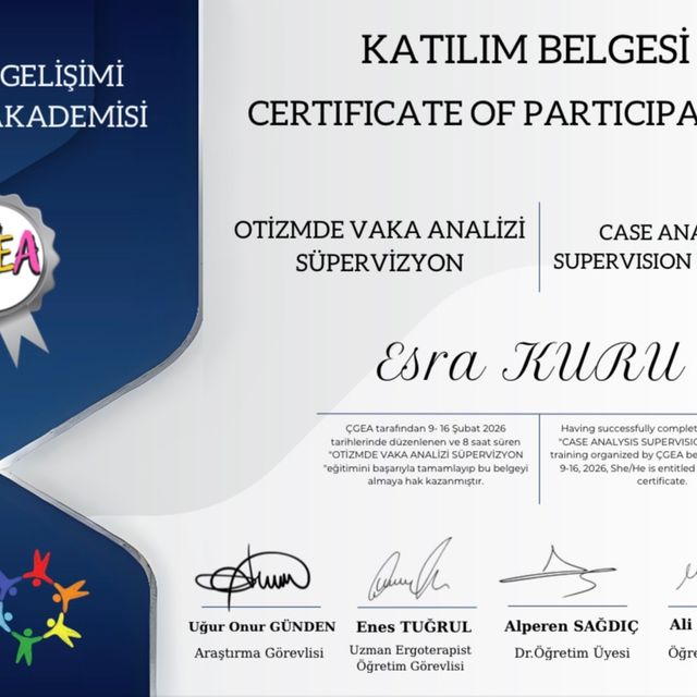 Resmi büyüt: certificate 1