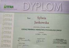 Powiększ obraz: certificate 1