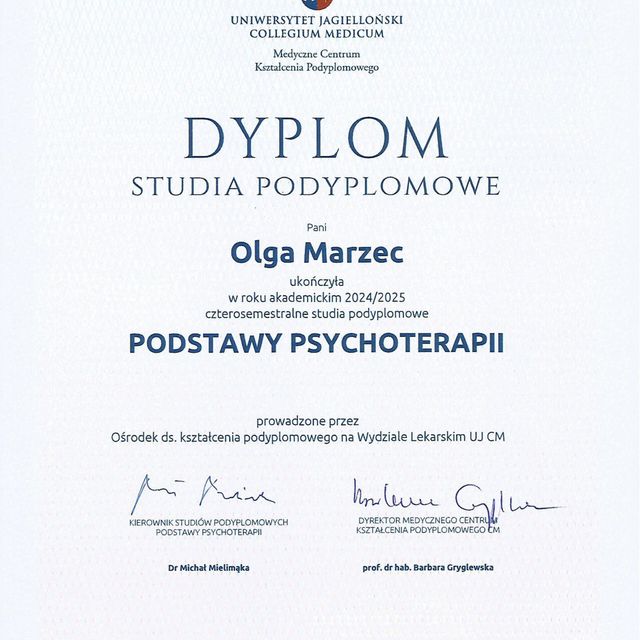 Powiększ obraz: certificate 1