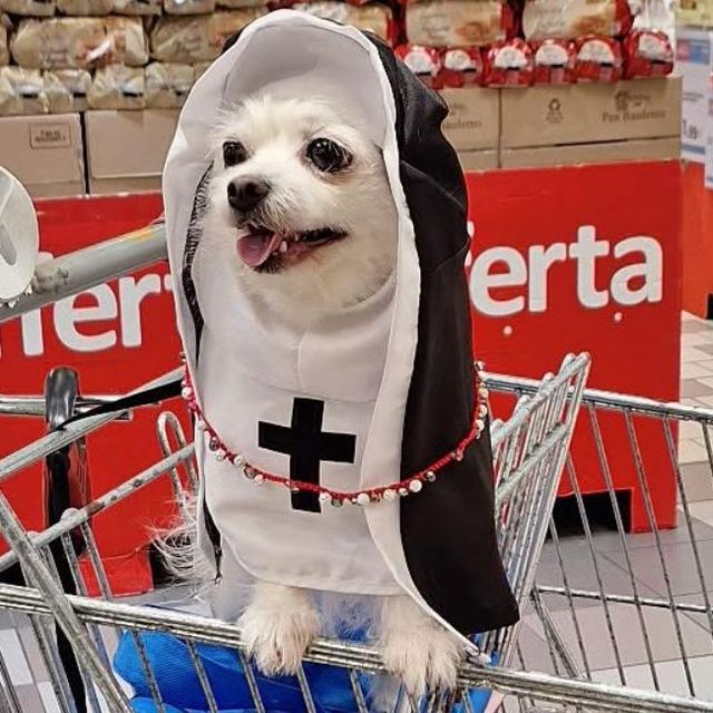 Ingrandire l'immagine: certificate 429