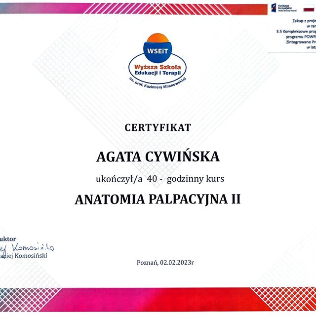 Powiększ obraz: certificate 1