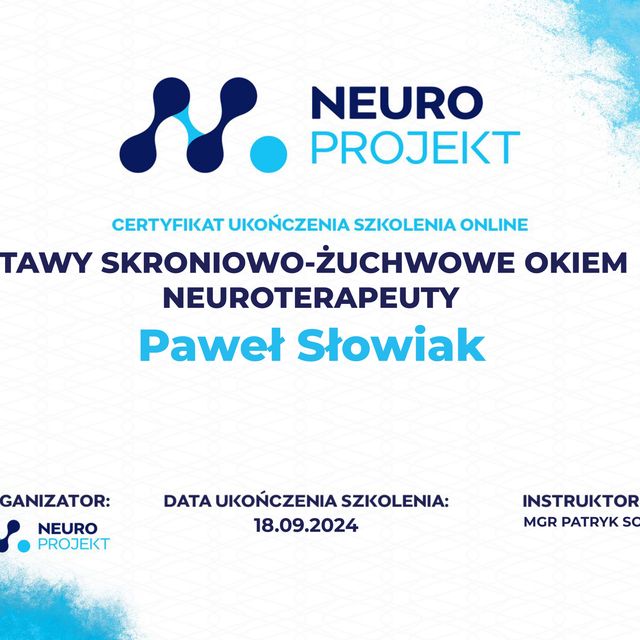 Powiększ obraz: certificate 13