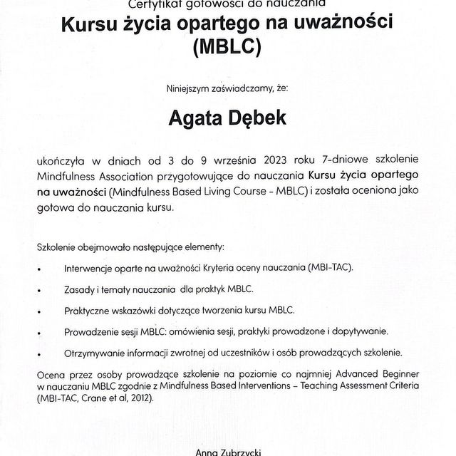 Powiększ obraz: certificate 1