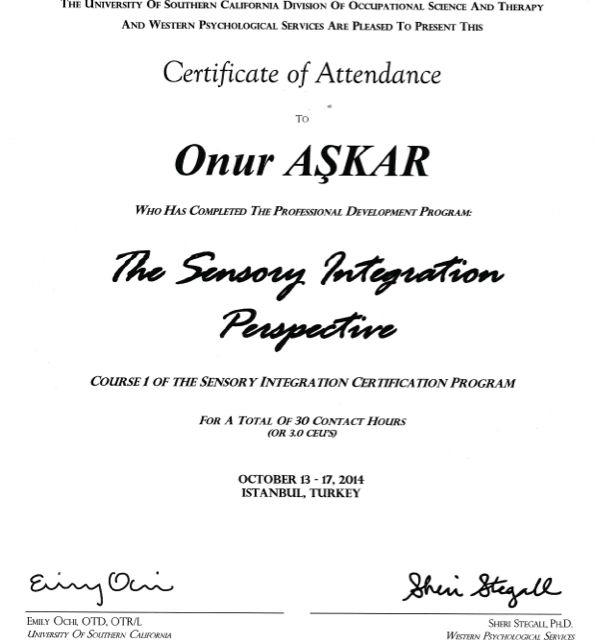 Resmi büyüt: certificate 8