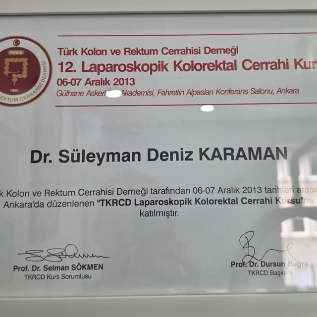 Resmi büyüt: certificate 17