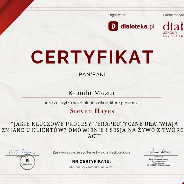 Powiększ obraz: certificate 3