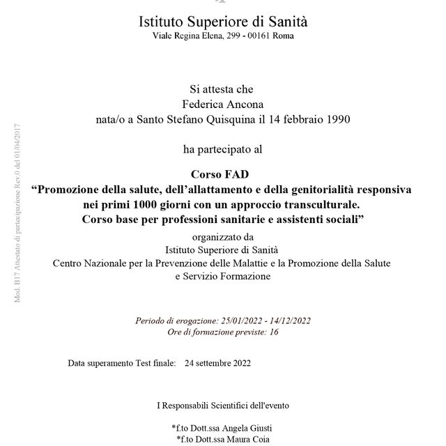 Ingrandire l'immagine: certificate 4