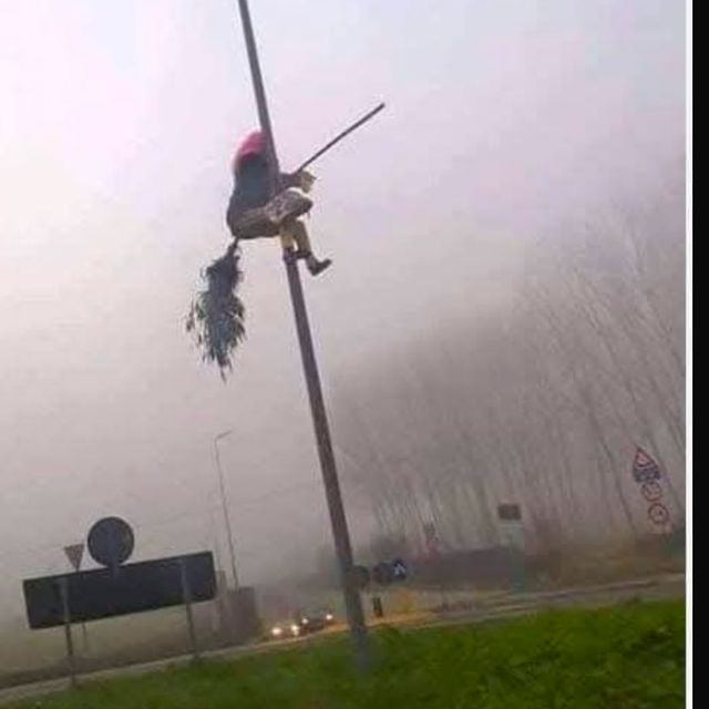 Ingrandire l'immagine: certificate 184