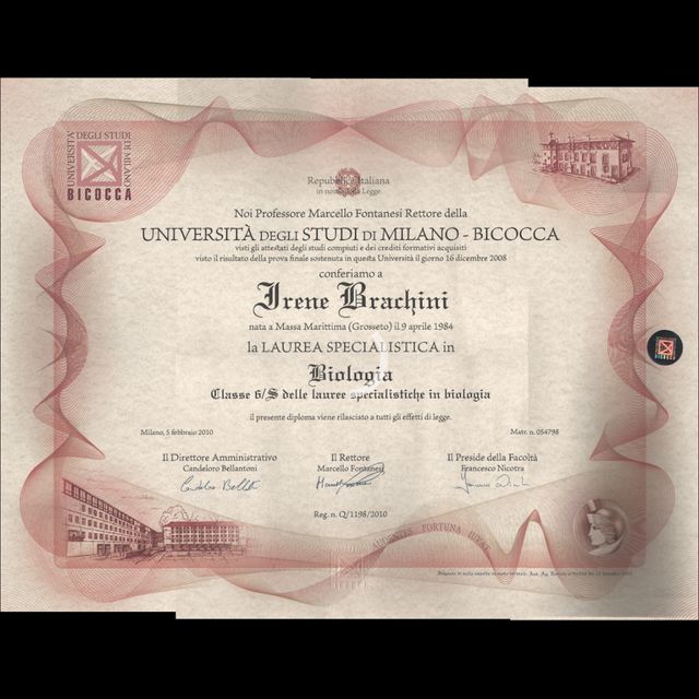 Ingrandire l'immagine: certificate 1