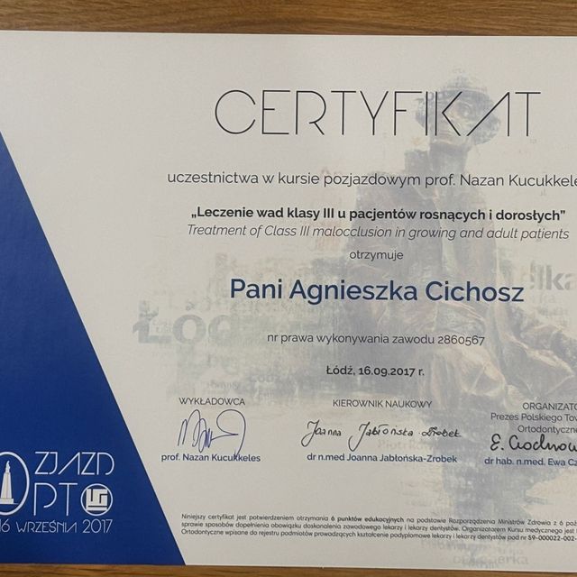 Powiększ obraz: certificate 13