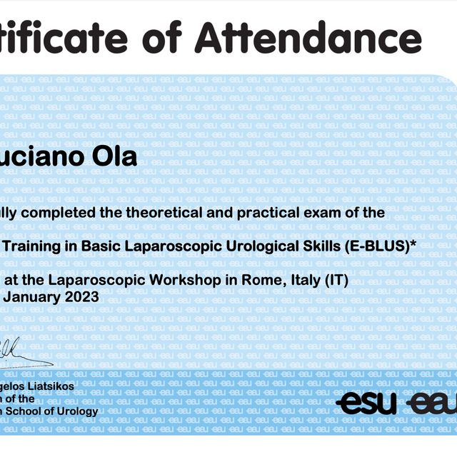 Ingrandire l'immagine: certificate 1