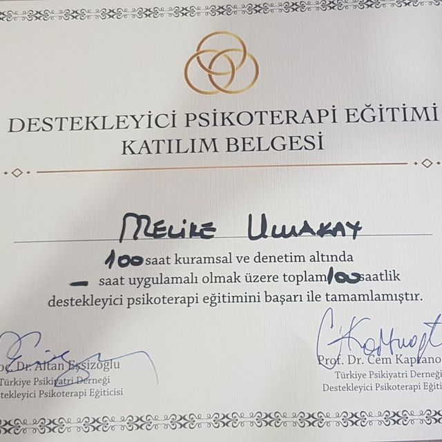 Resmi büyüt: certificate 31