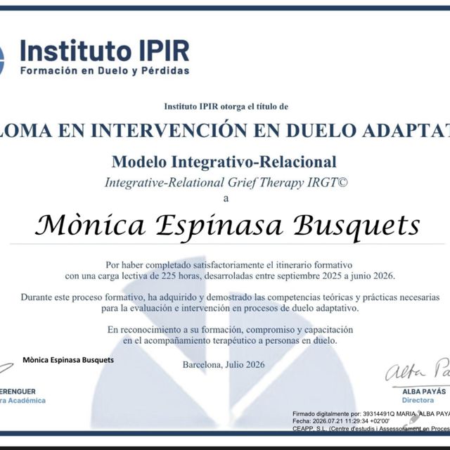Acercar imagen: certificate 12