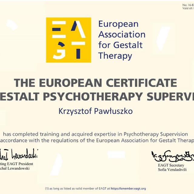 Powiększ obraz: certificate 1