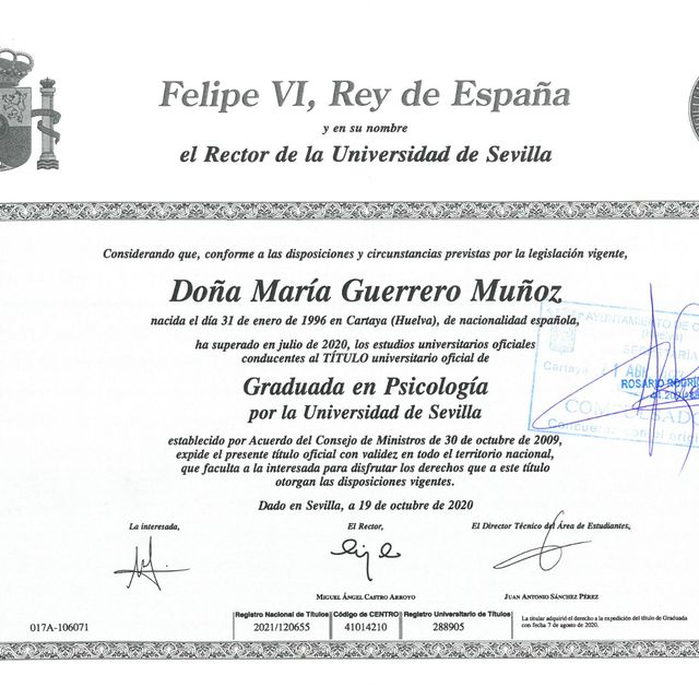 Acercar imagen: certificate 5