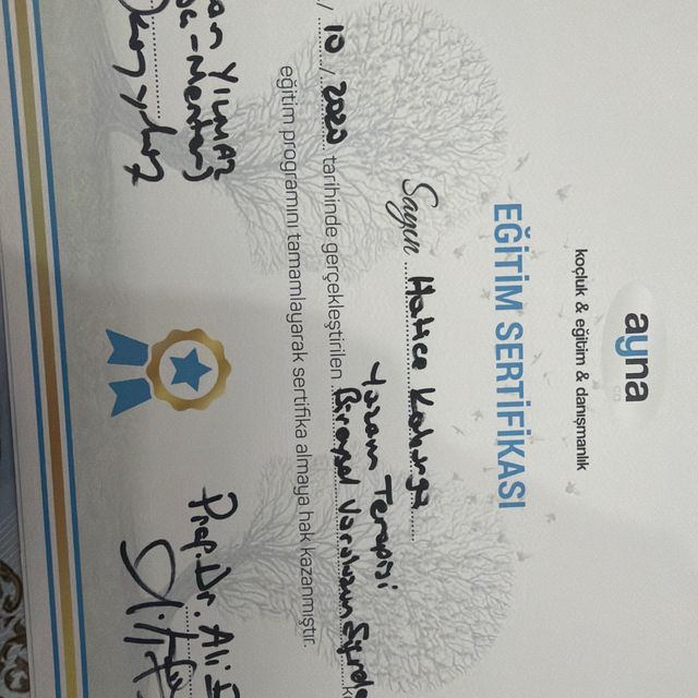 Resmi büyüt: certificate 17
