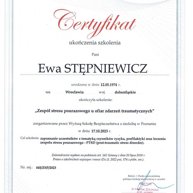 Powiększ obraz: certificate 3