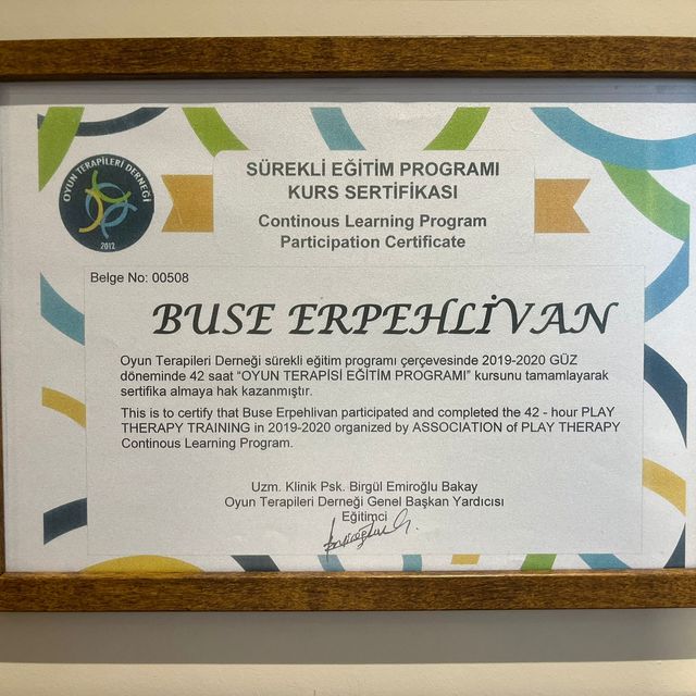 Resmi büyüt: certificate 6