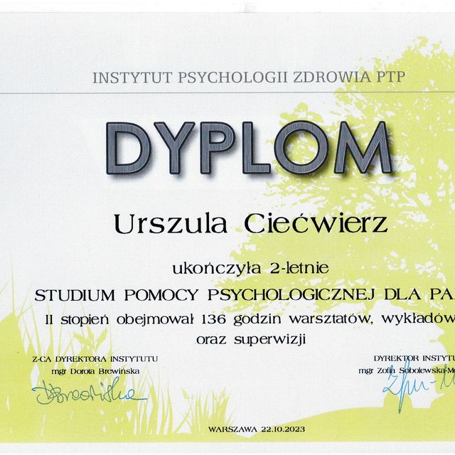 Powiększ obraz: certificate 8