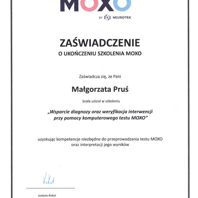 Powiększ obraz: certificate 1