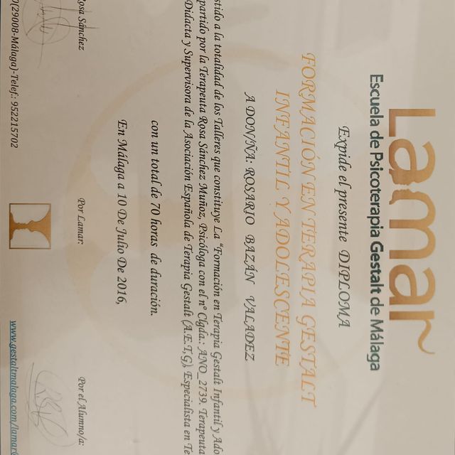 Acercar imagen: certificate 4