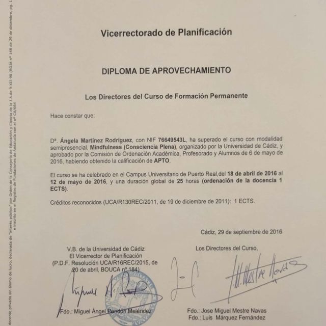 Acercar imagen: certificate 7