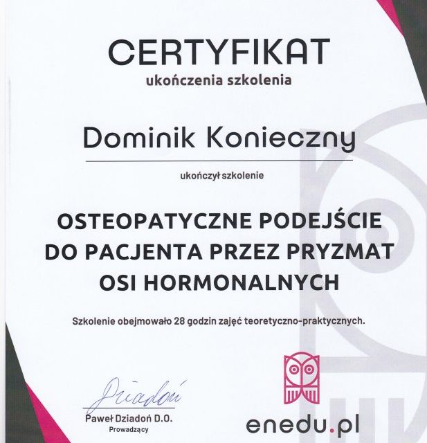 Powiększ obraz: certificate 26