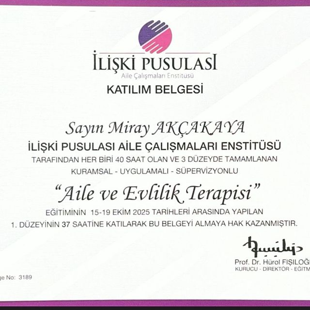 Resmi büyüt: certificate 3