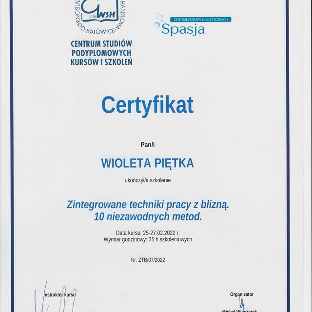 Powiększ obraz: certificate 11